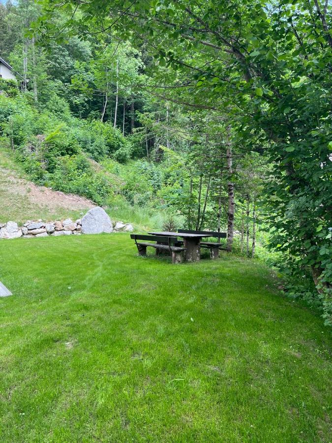 Our Forest House Tržič Екстериор снимка